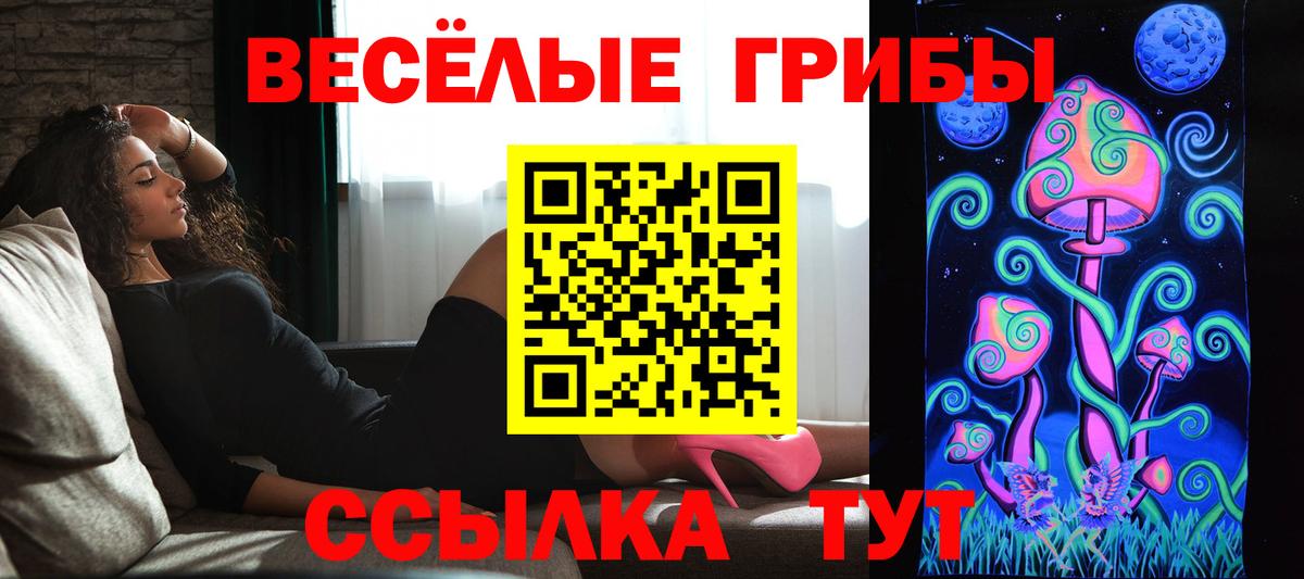 Псилоцибиновые грибы мицелий Владимир